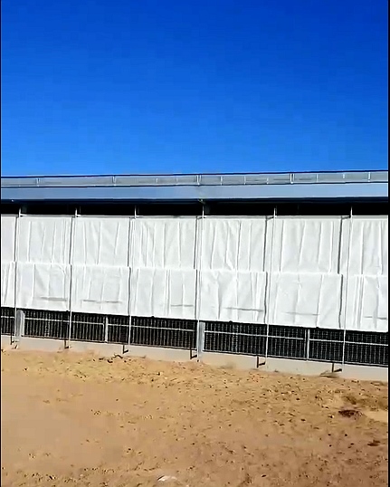 香蕉成人黄色大片卷帘